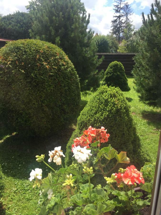 Vidiecky Dom Alexsandra - Ubytovanie V Sukromi Liptovska Ondrasova Exterior foto